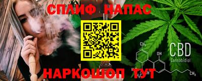 хмурый Бийск