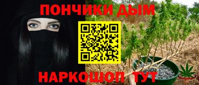 хмурый Бийск