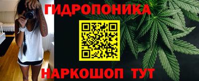 хмурый Бийск