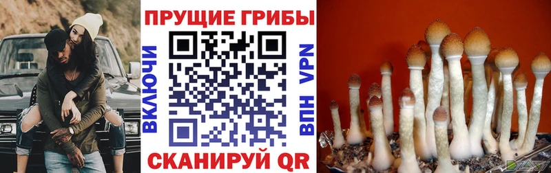 Галлюциногенные грибы прущие грибы  где купить наркоту  Воткинск 
