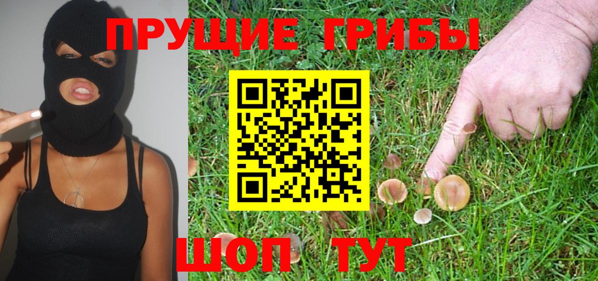 Галлюциногенные грибы Magic Shrooms  Воткинск 