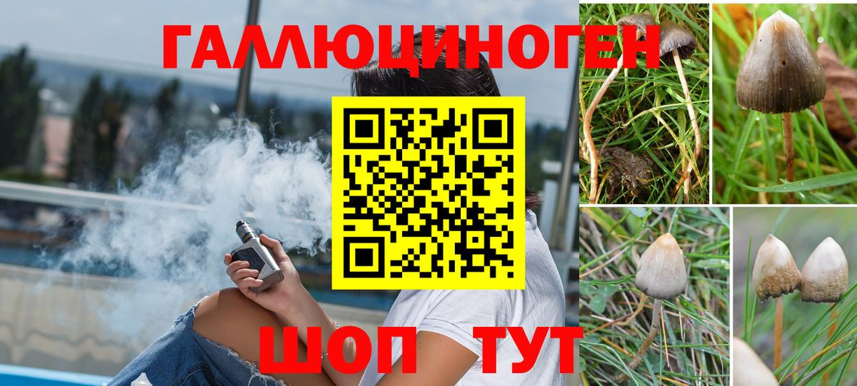 Галлюциногенные грибы MAGIC MUSHROOMS Воткинск