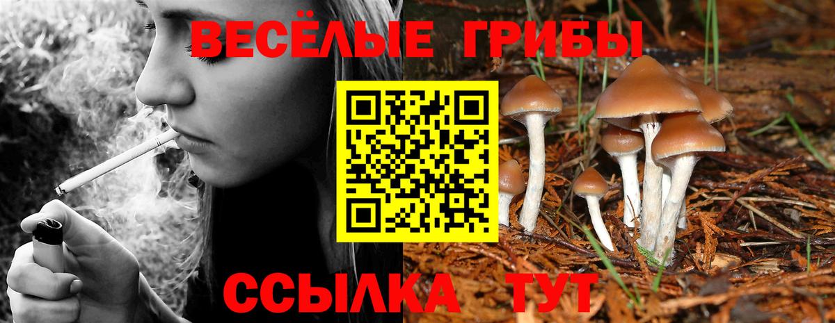 Галлюциногенные грибы прущие грибы Воткинск